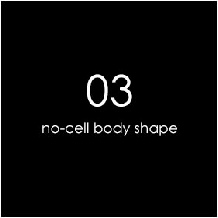 03 NO-CELL BODY SHAPE